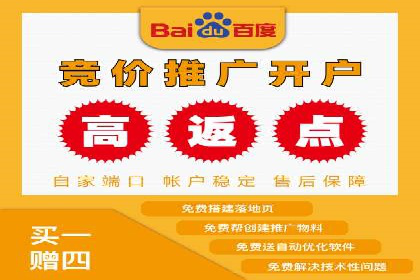 SEM推广案例：竞价代运营实战解析